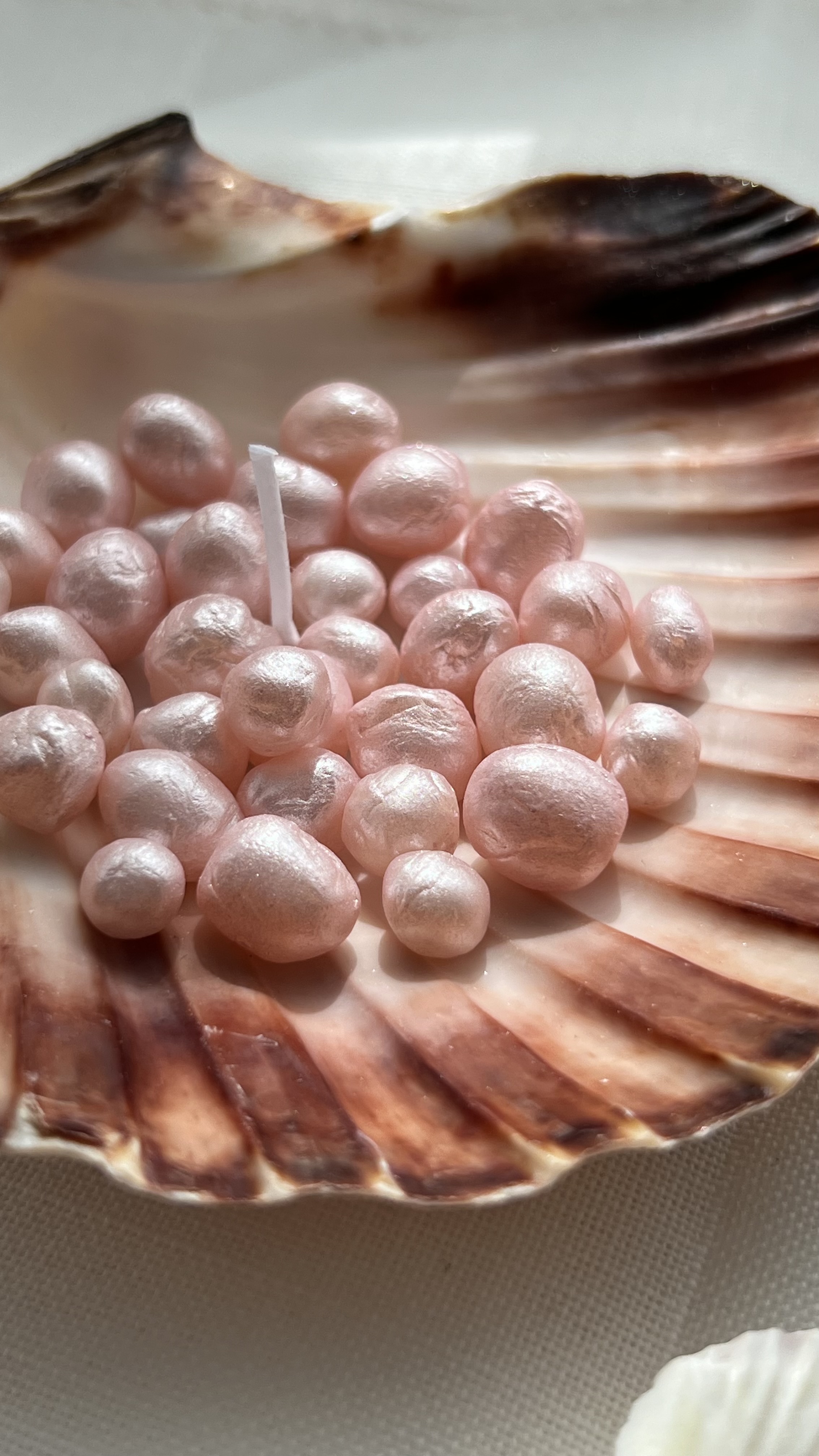 Muschelkerze mit Perlen Bild 3