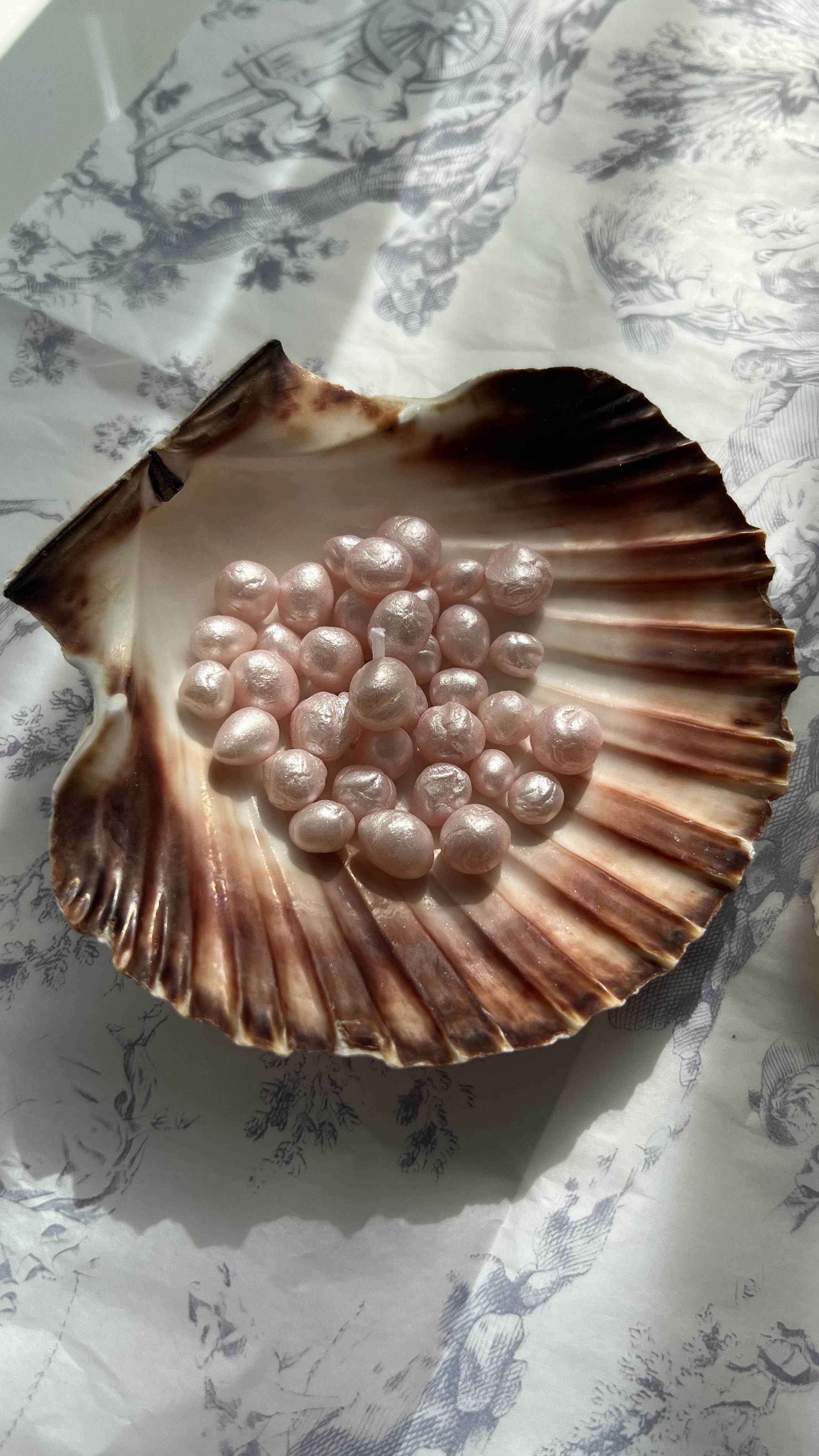 Muschelkerze mit Perlen Bild 2