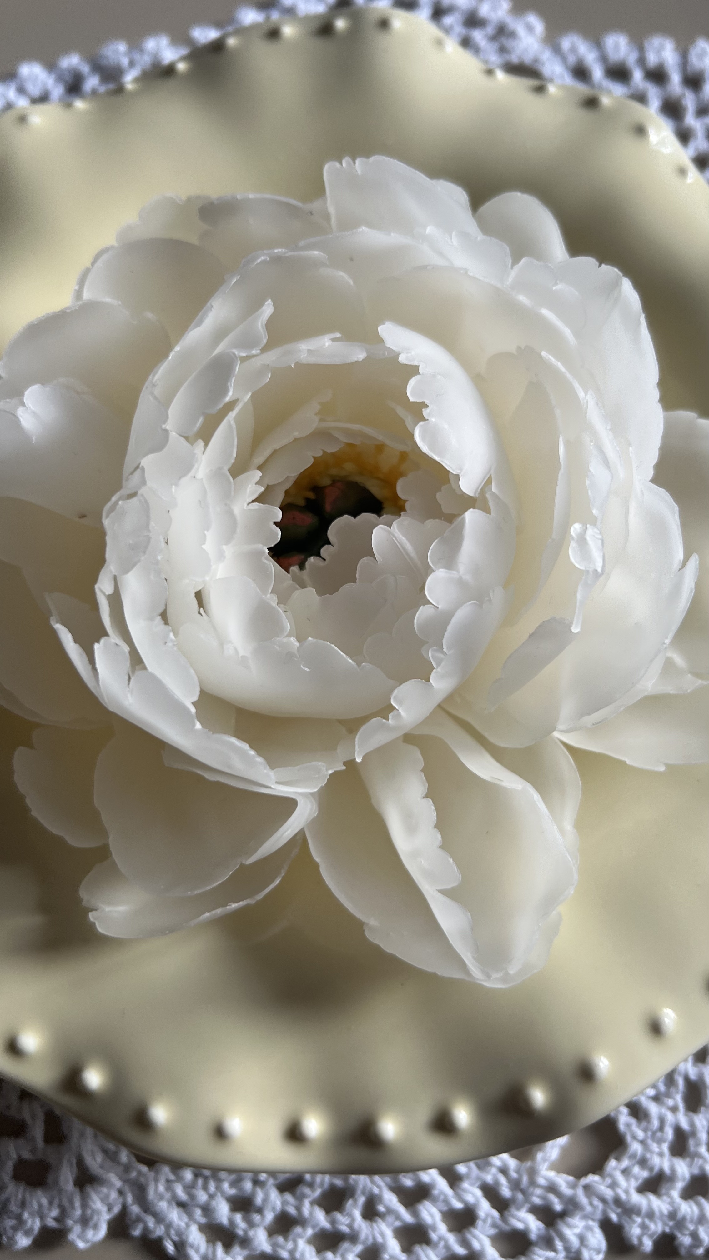 Pfingsrosenkerze Bild 2